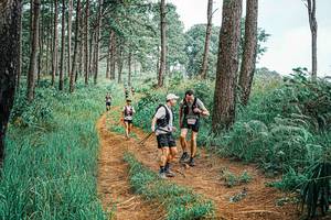 BIB: 
                            <button type="button" onclick="openModal(25658423)" class="btn btn-primary btn-sm float-right btn-popup" data-toggle="modal" data-target=".modal-high-quality">
                        <i class="fas fa-shopping-cart"></i> Add to Cart
                    </button>
                                            <button type="button" onclick="isThisMe(25658423, true)" class="btn btn-success btn-sm float-right btn-popup btn-isme hidden" data-toggle="tooltip" data-placement="bottom" title="นี่คือรูปของคุณใช่ไหม คลิกที่นี่เพื่อเอาเข้าอัลบั้ม">
                        <i class="fas fa-plus"></i> Add to album
                    </button>
                    <button type="button" onclick="isThisMe(25658423, false)" class="btn btn-warning btn-sm float-right btn-popup btn-isnotme hidden">
                        <i class="fas fa-ban"></i> Remove from album
                    </button>